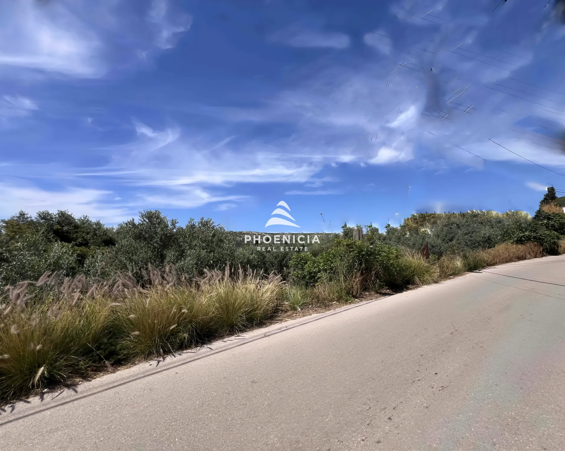 Land for Sale in Batroun