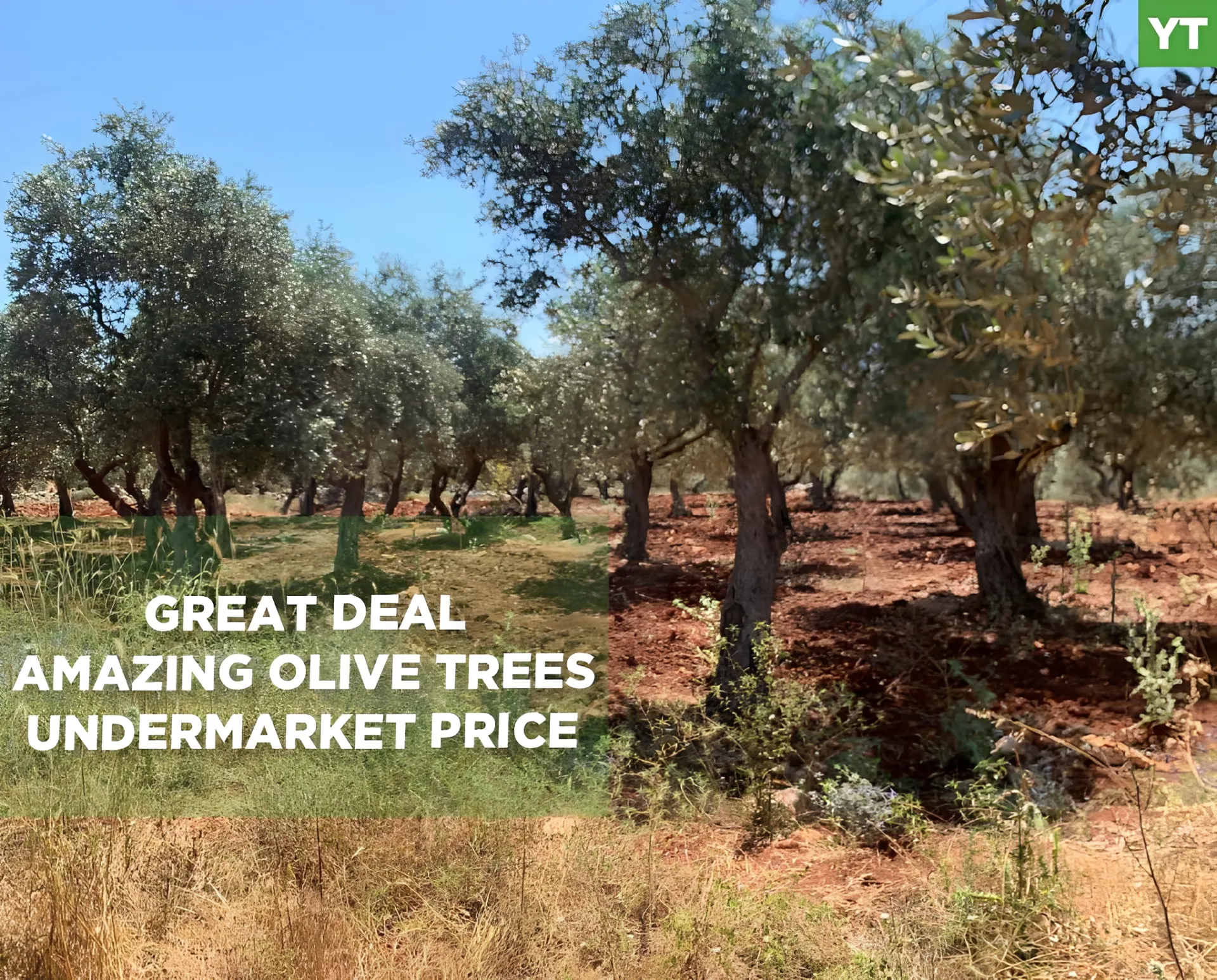 Land for Sale in Koura