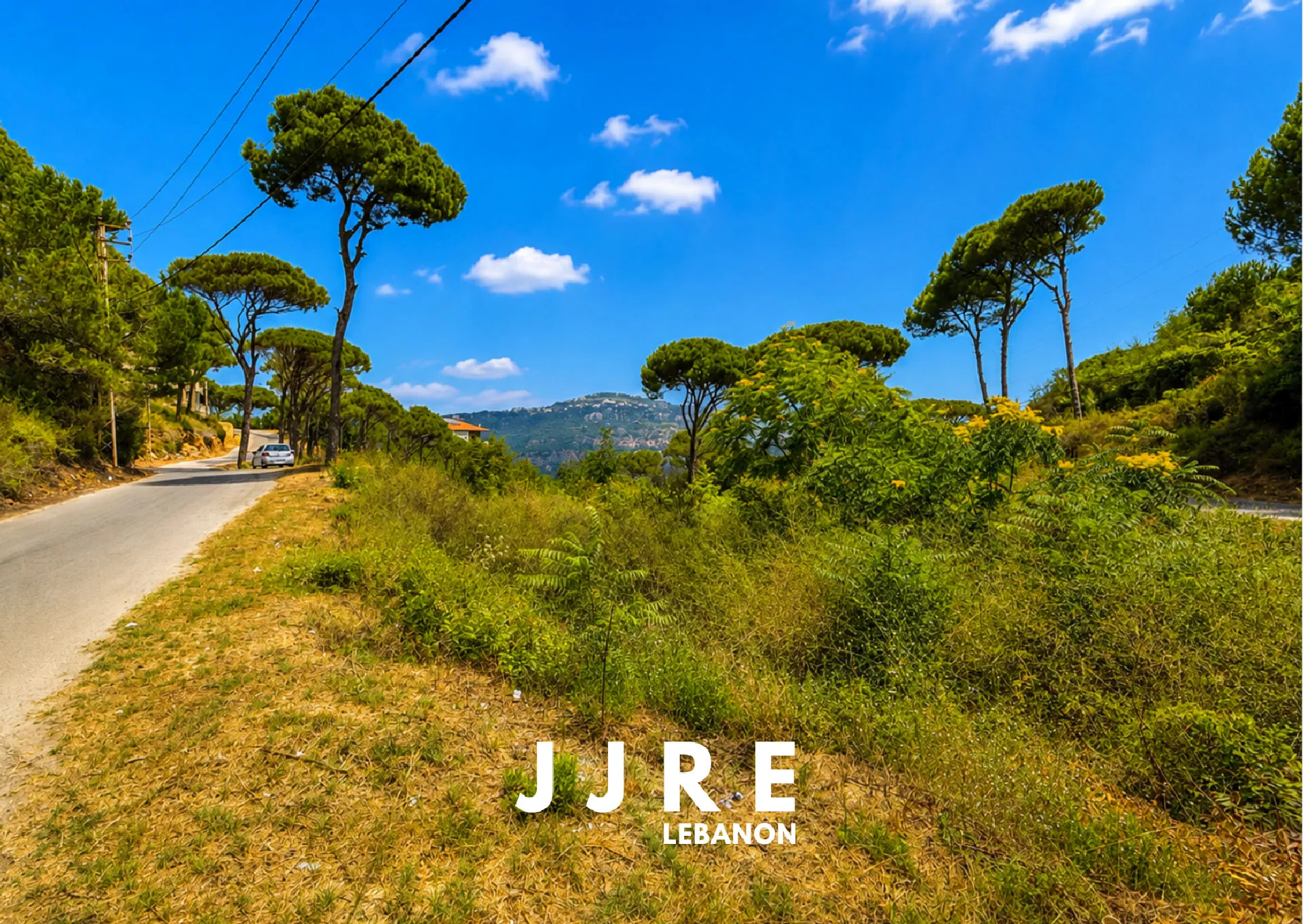 Land for sale in Abadiyeh, lebanon