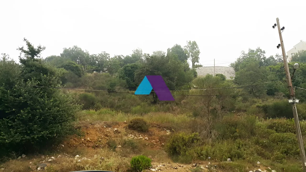 Land for Sale in Bharsaf