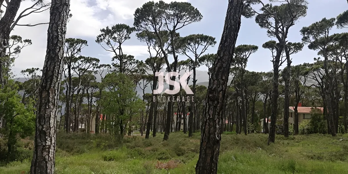 Land for Sale in Bolonia, Mrouj