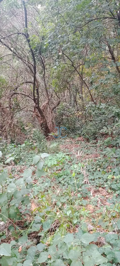 Land for sale in Sahel alma, lebanon