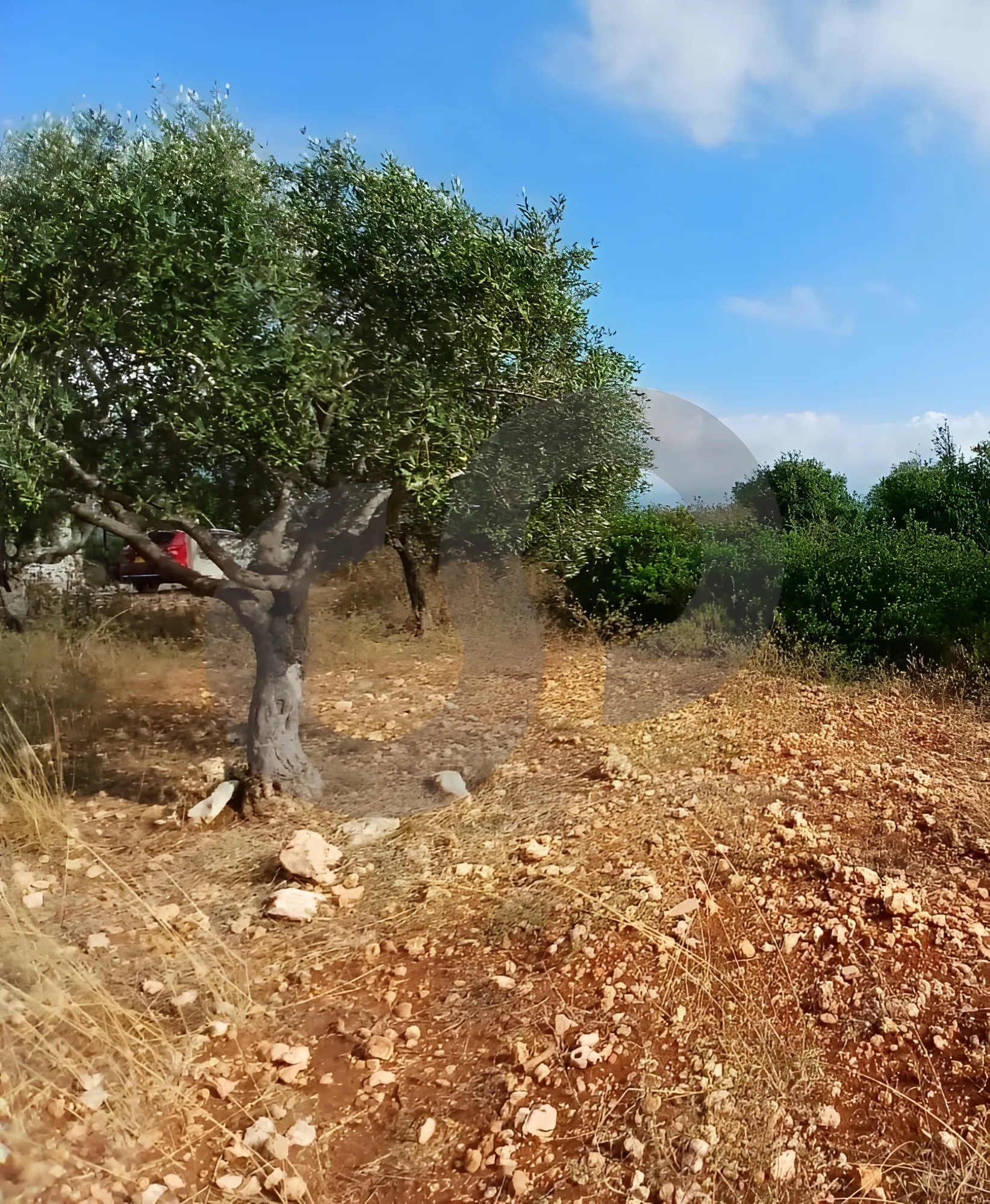 Land for Sale in Deddeh
