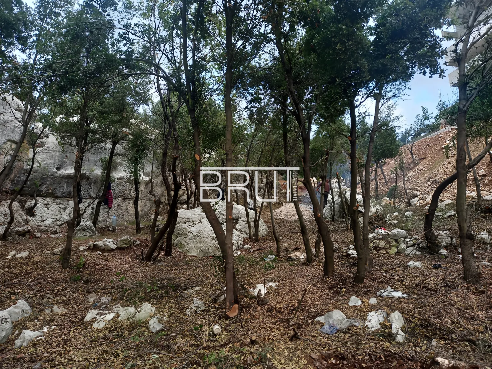 Land for Sale in Achkout