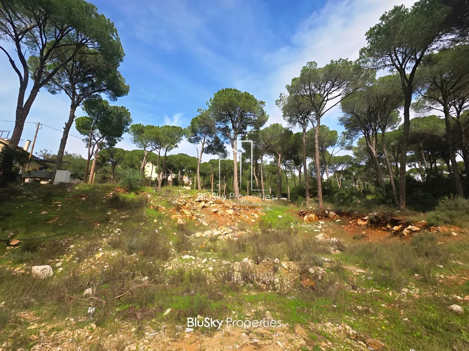 Land for Sale in Baabdat