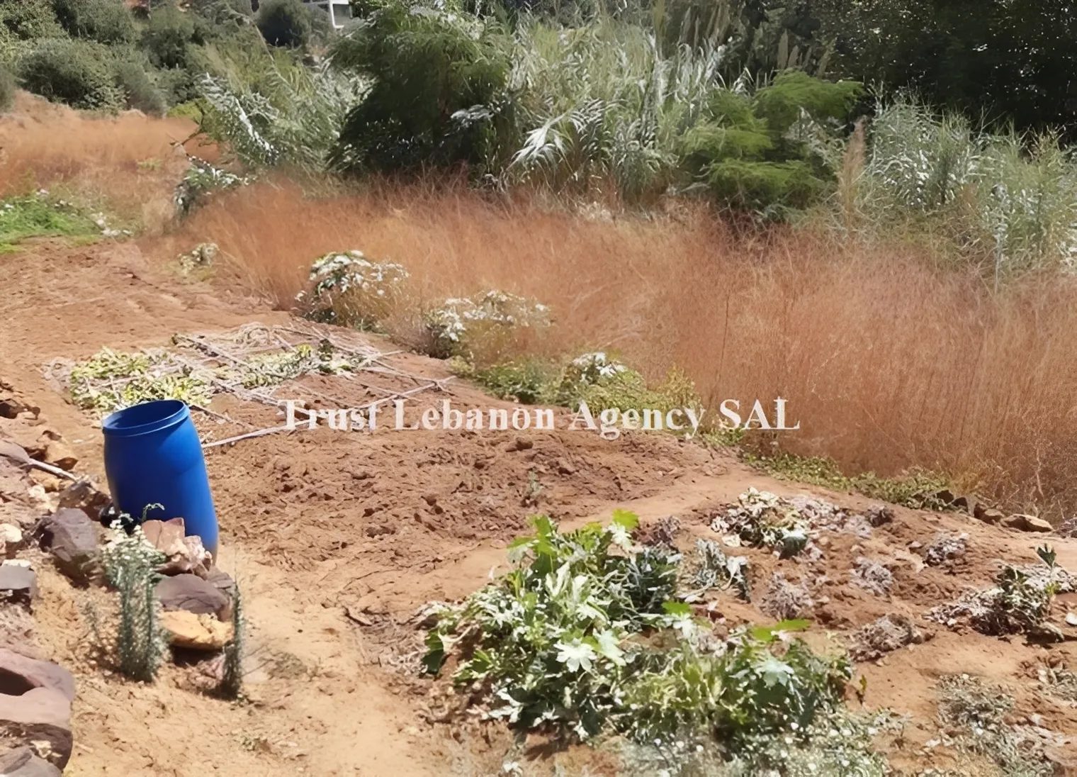 Land for Sale in Alay, kahale
