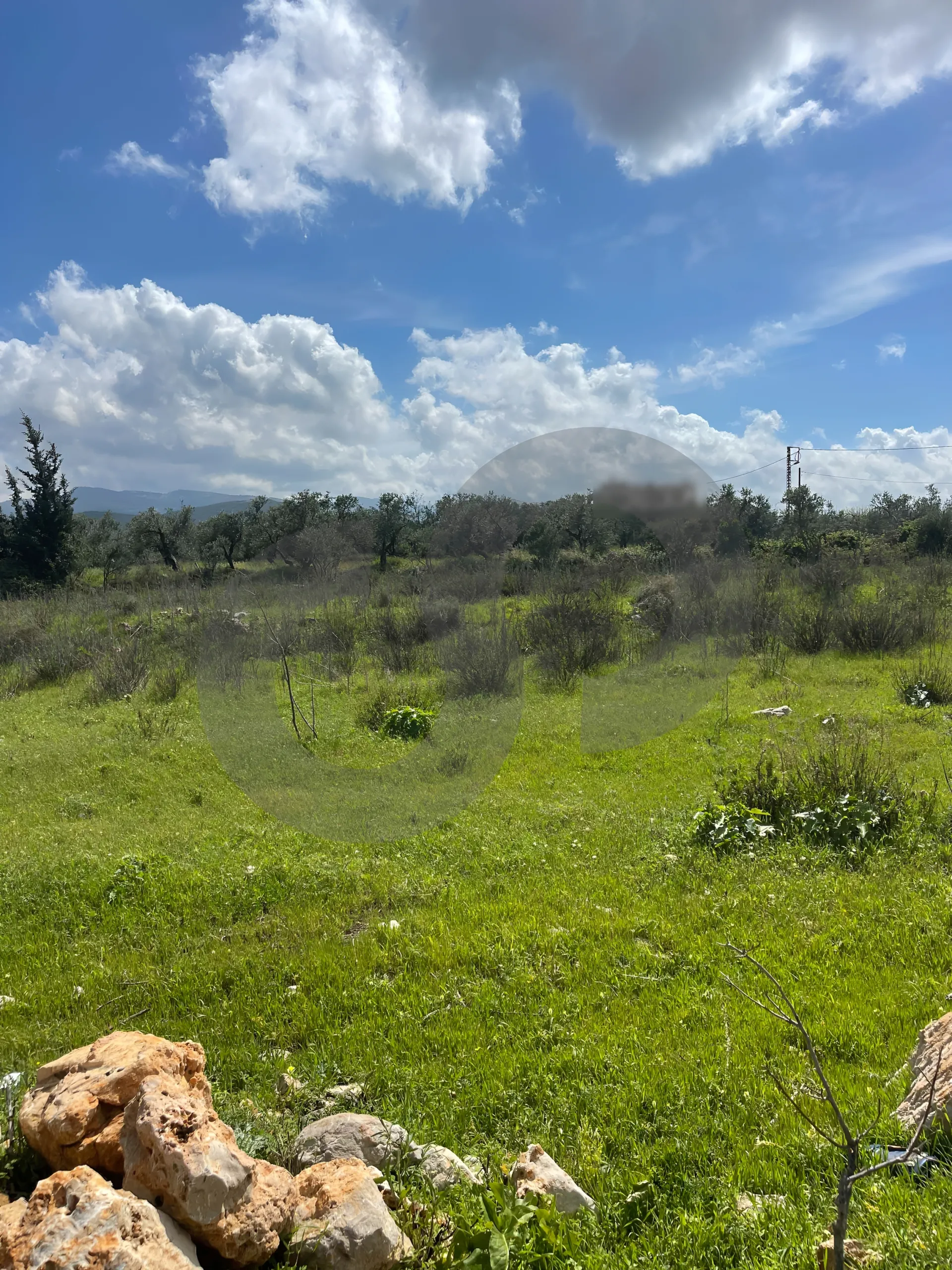 Land for Sale in Zgharta