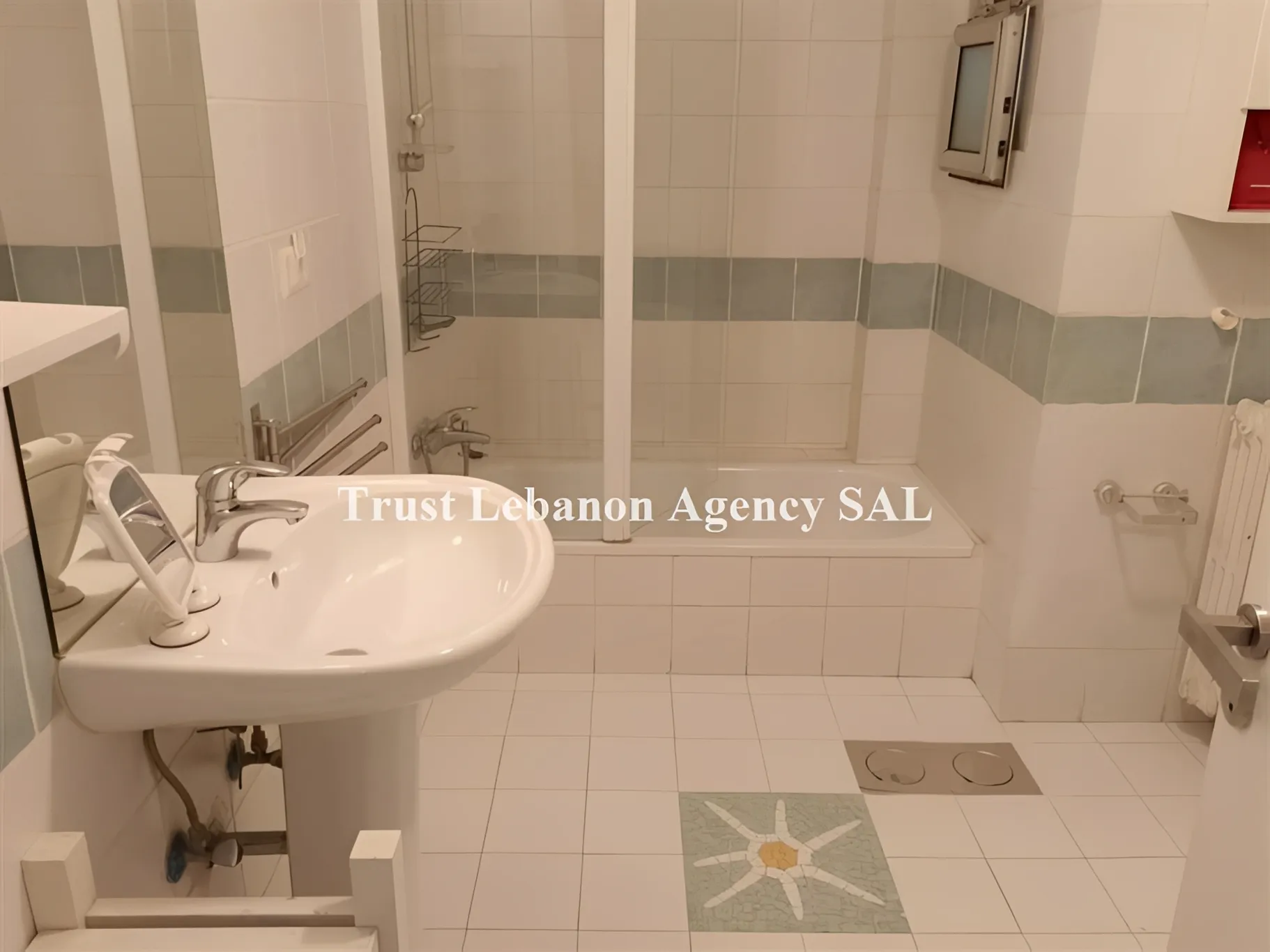 Apartment for Rent in Ashrafieh Beirut Lebanon