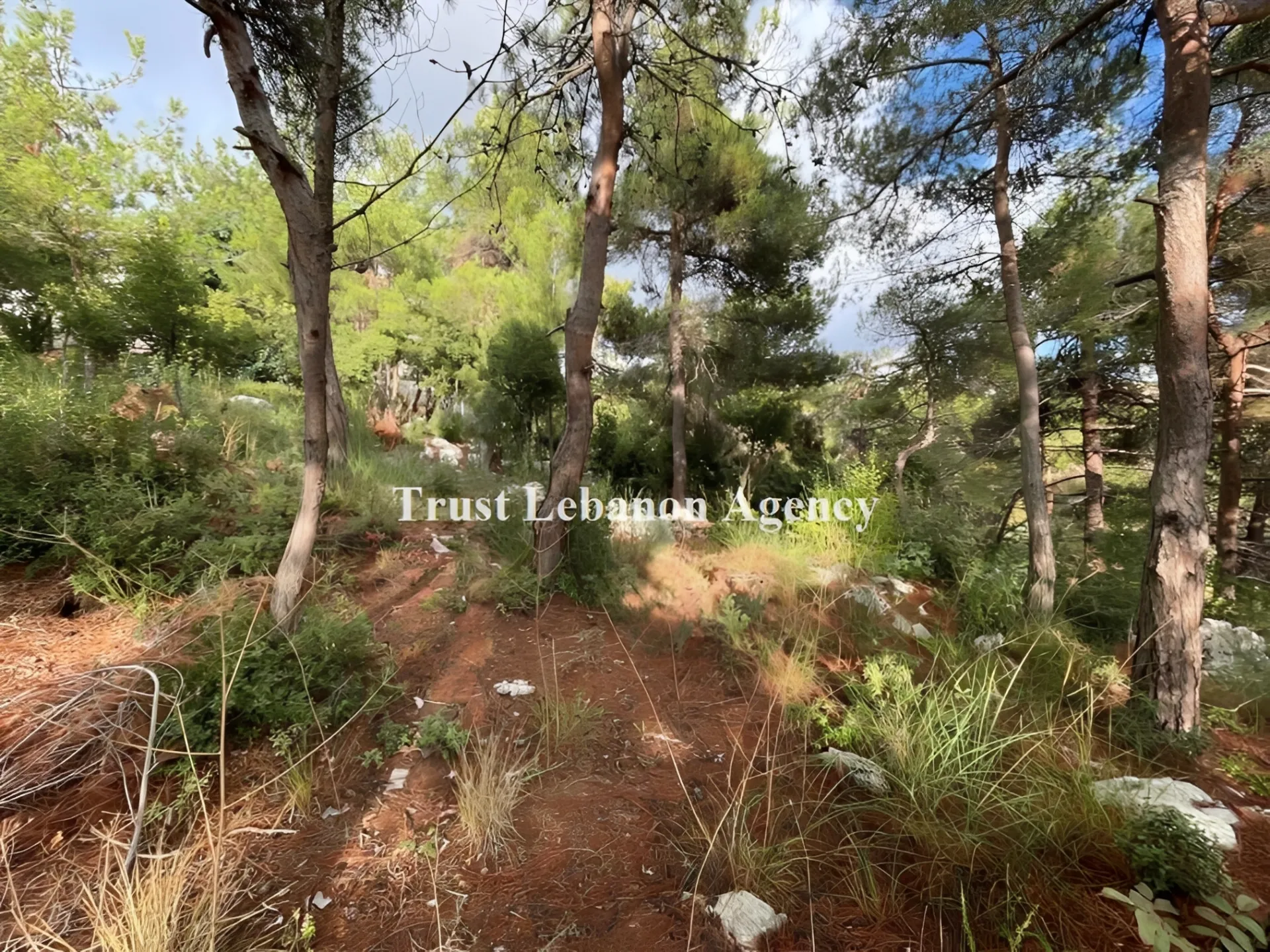 Land for Sale in Metn Baabdat Lebanon