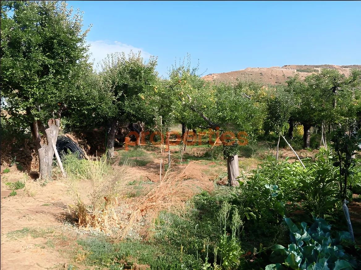 Residential Land for Sale in Mtein