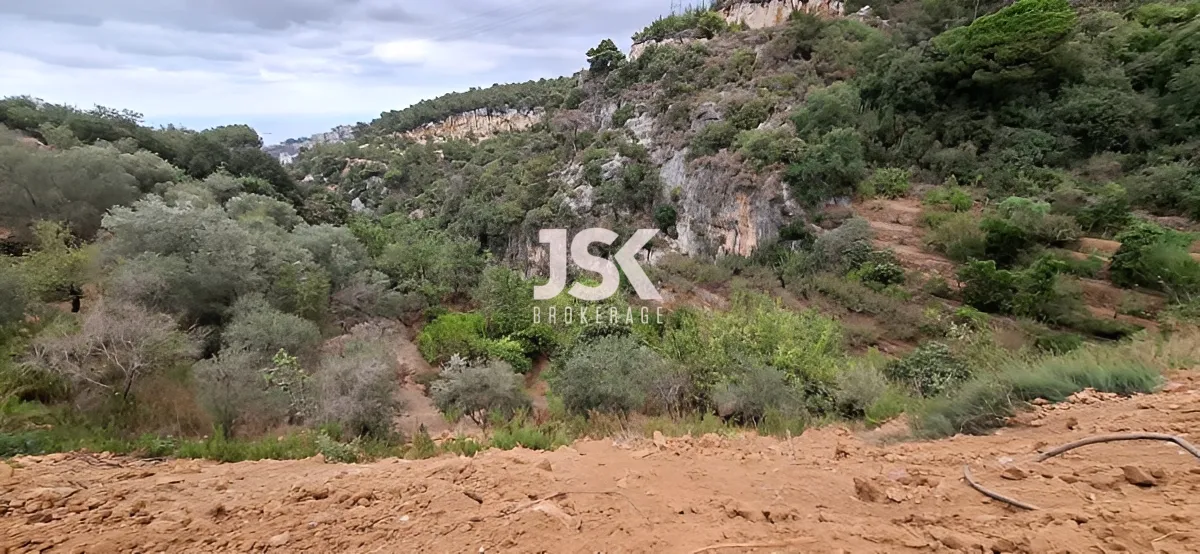 Land for Sale in Nabiyeh, Lebanon