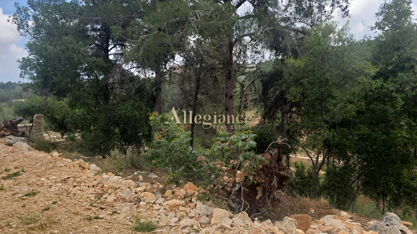 Agricultural Land for sale in Borjein, Lebanon