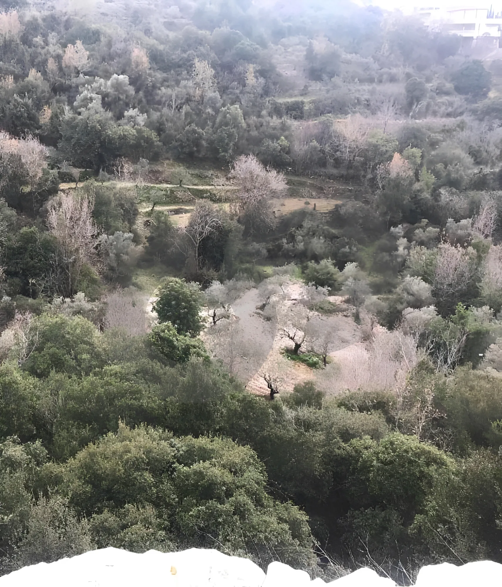 Land for Sale in Byblos