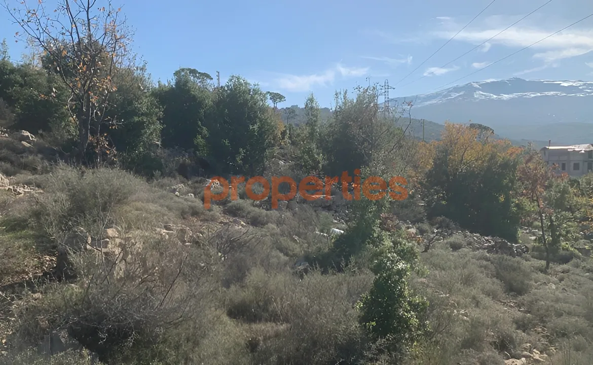 Residential Land for Sale in Mtein