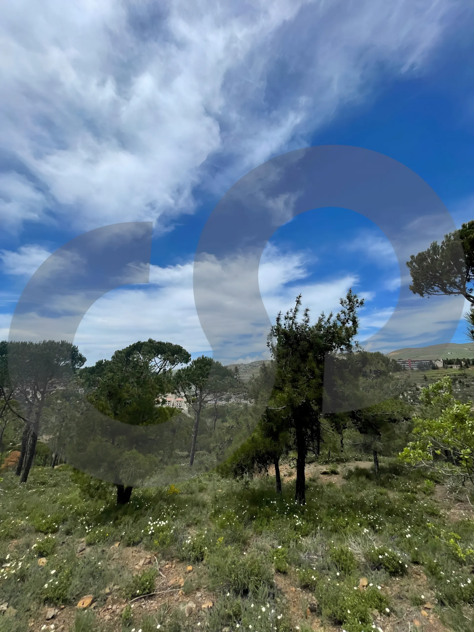 Land for Sale in Aley