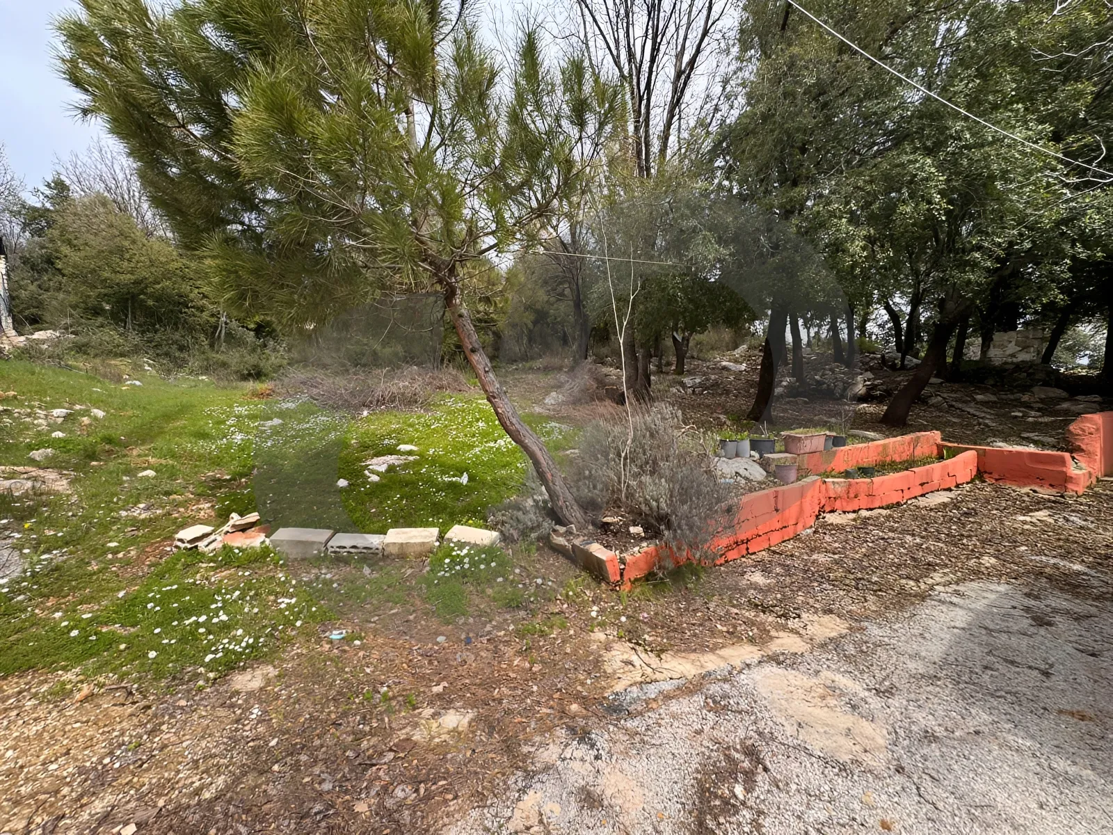 Land for Sale in Aannaya