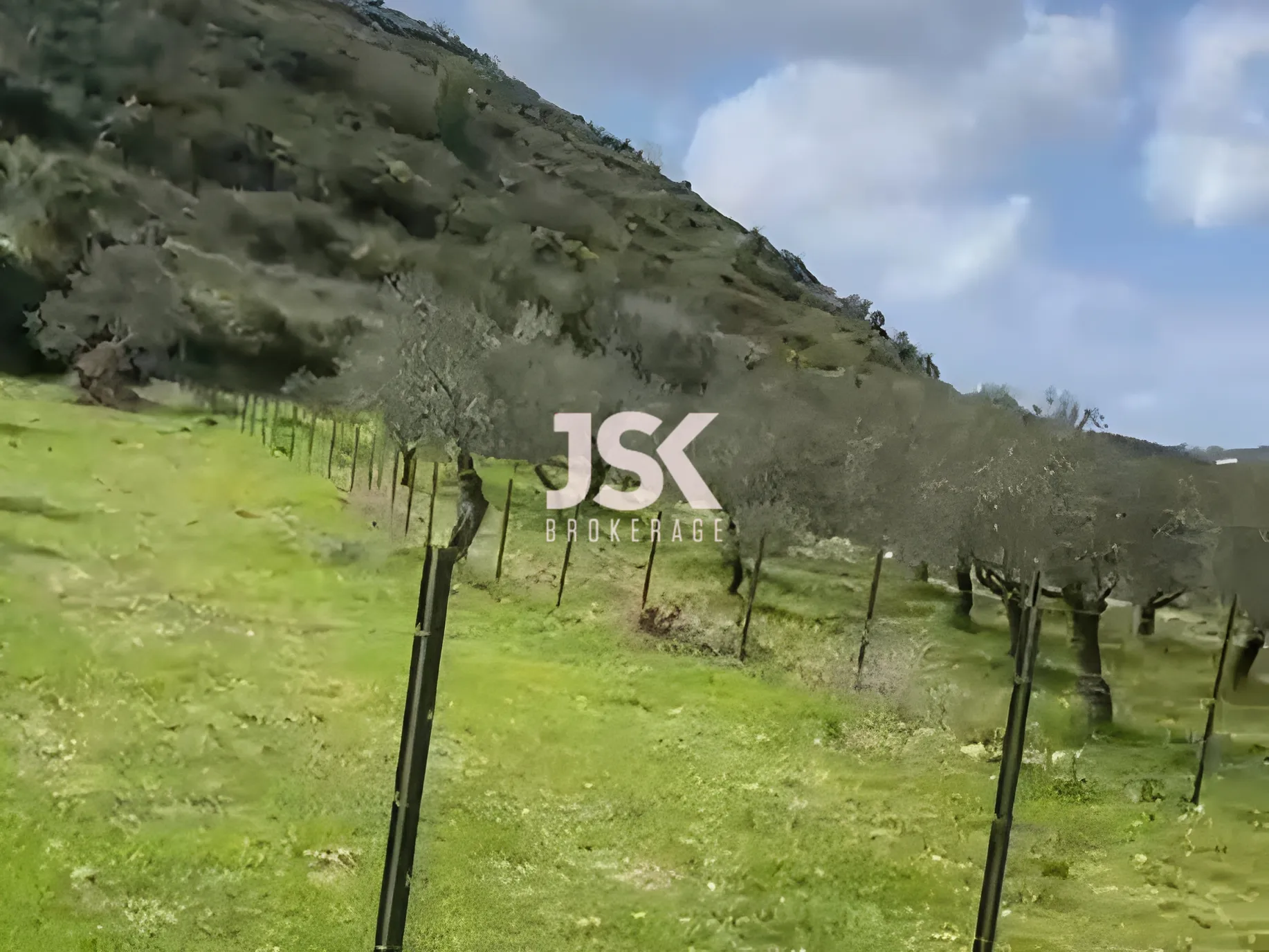 Land for Sale in Batroun