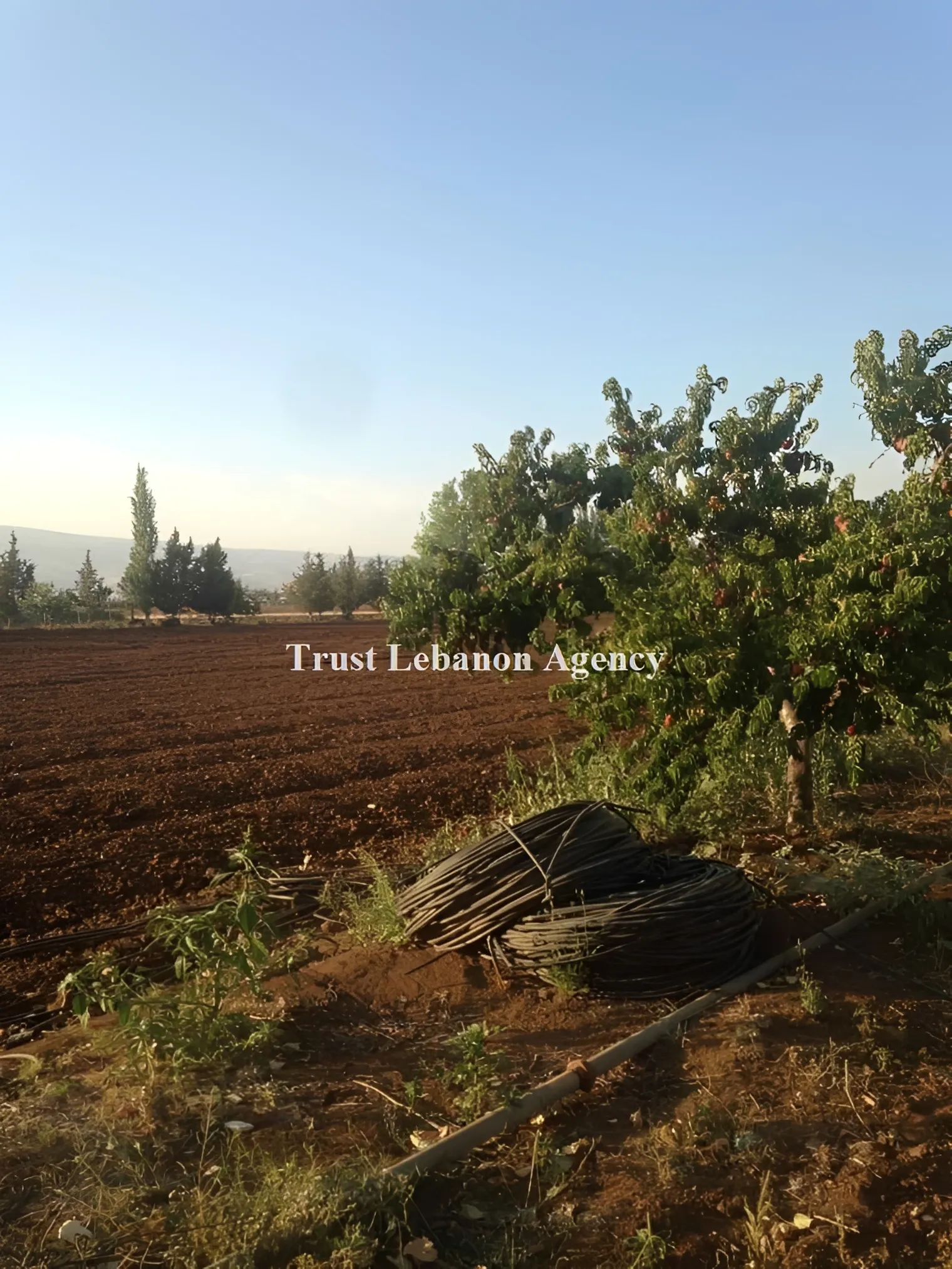 Villa for Sale in Zahle