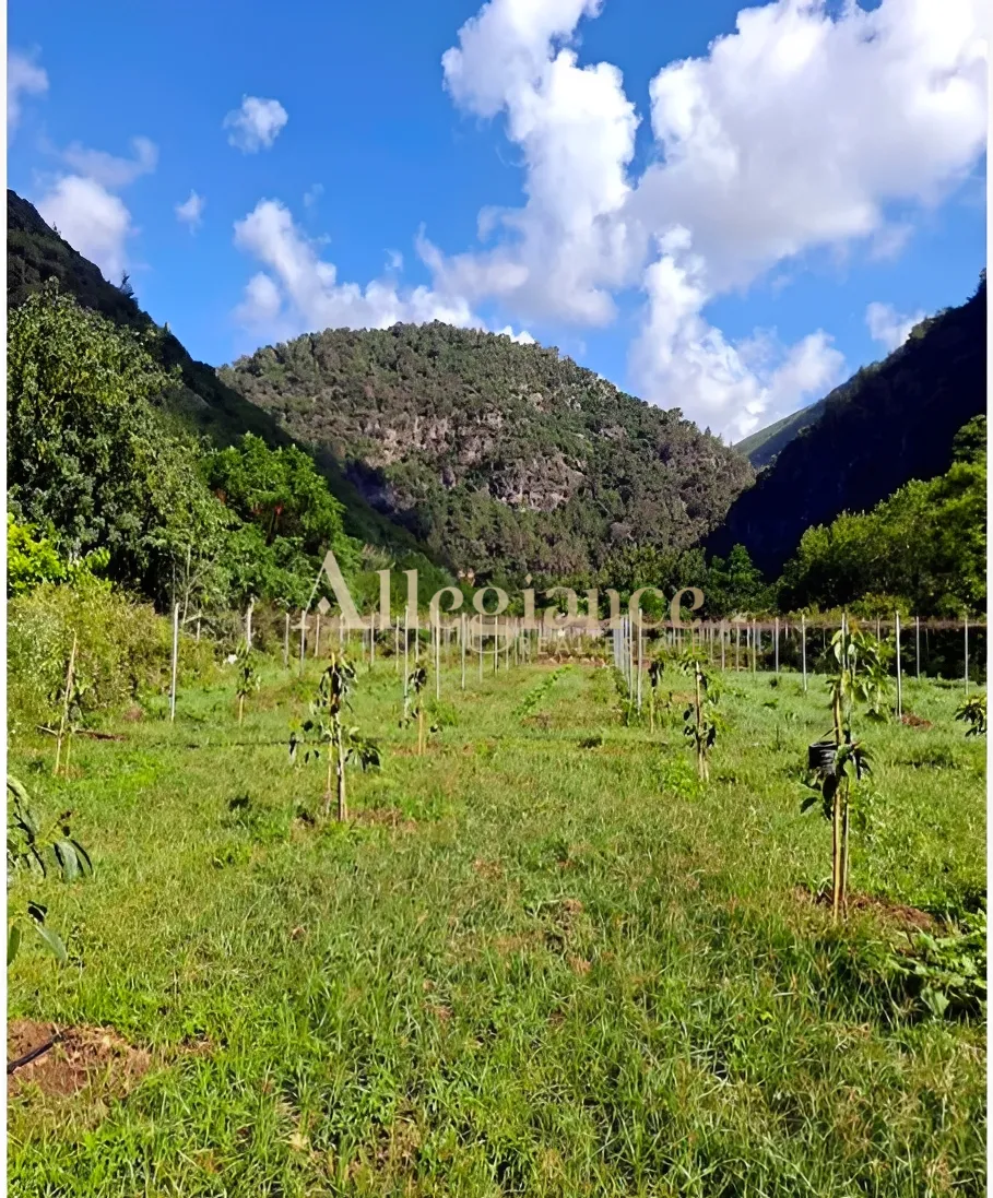 Residential Land for sale in Damour, Lebanon