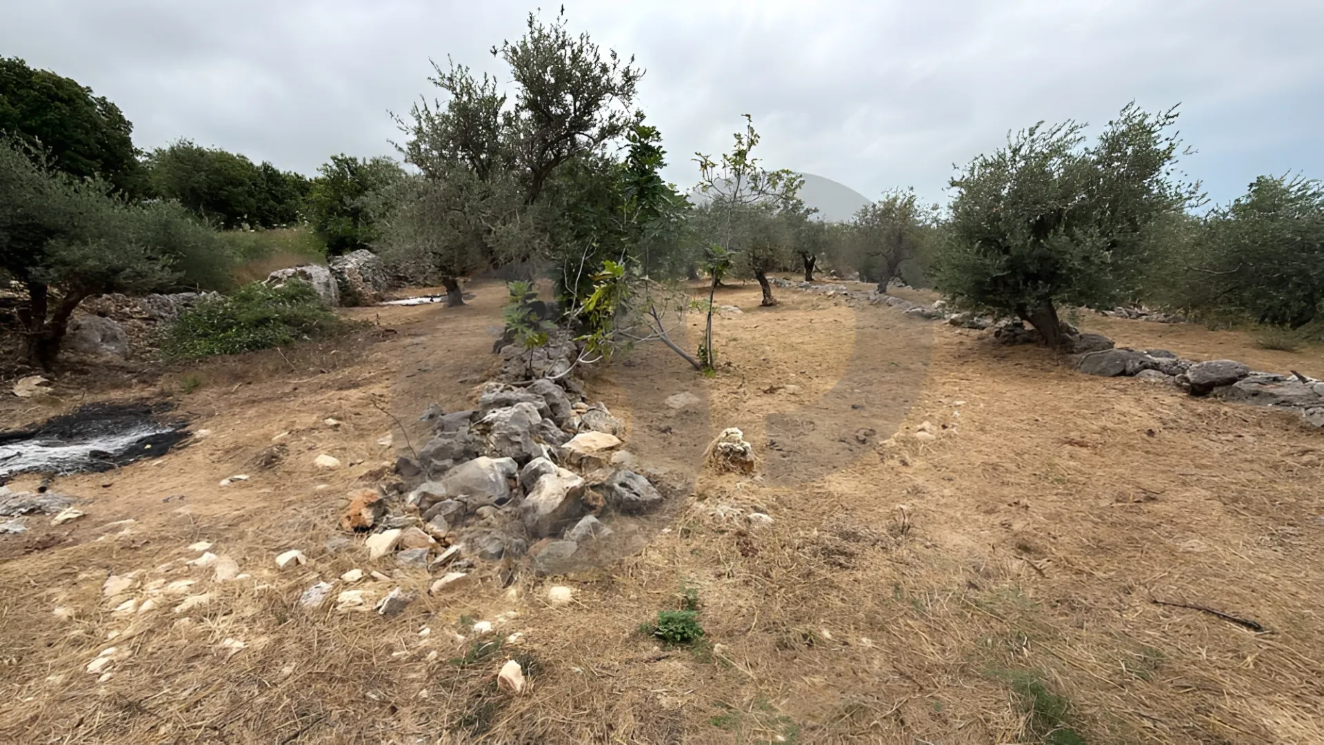 Land for Sale in Mansourieh