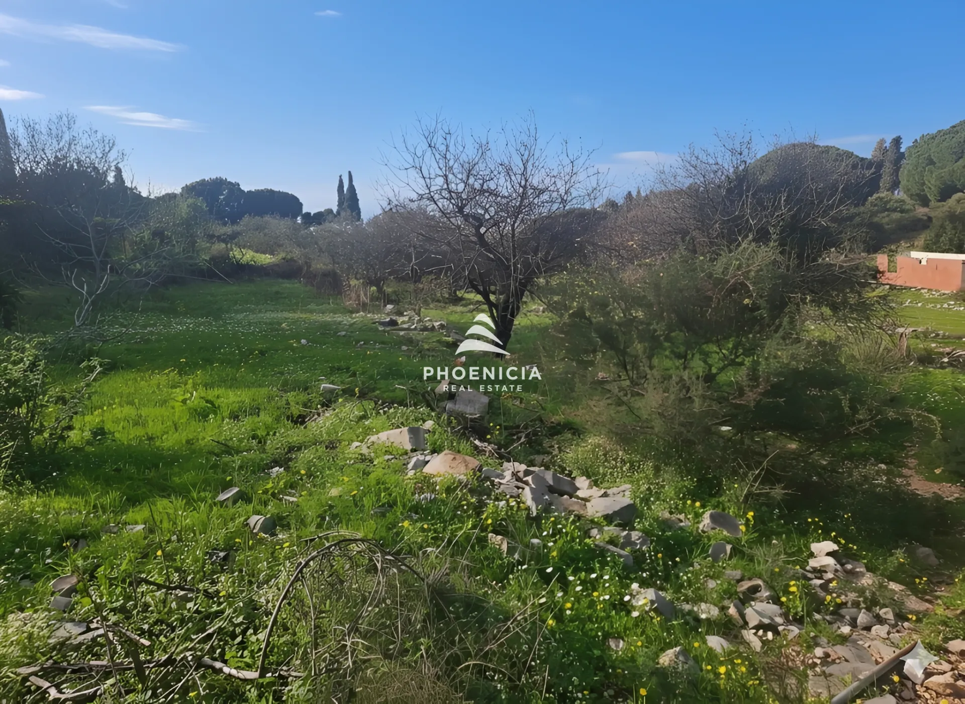 Land for Sale in Batroun