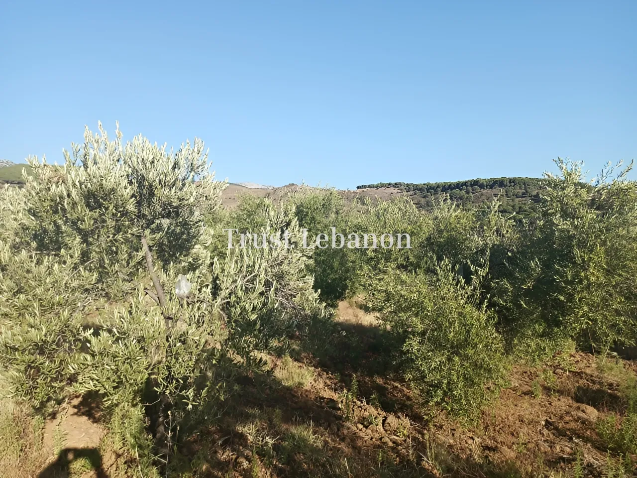 Agricultural Land for sale in Kfeir, Lebanon