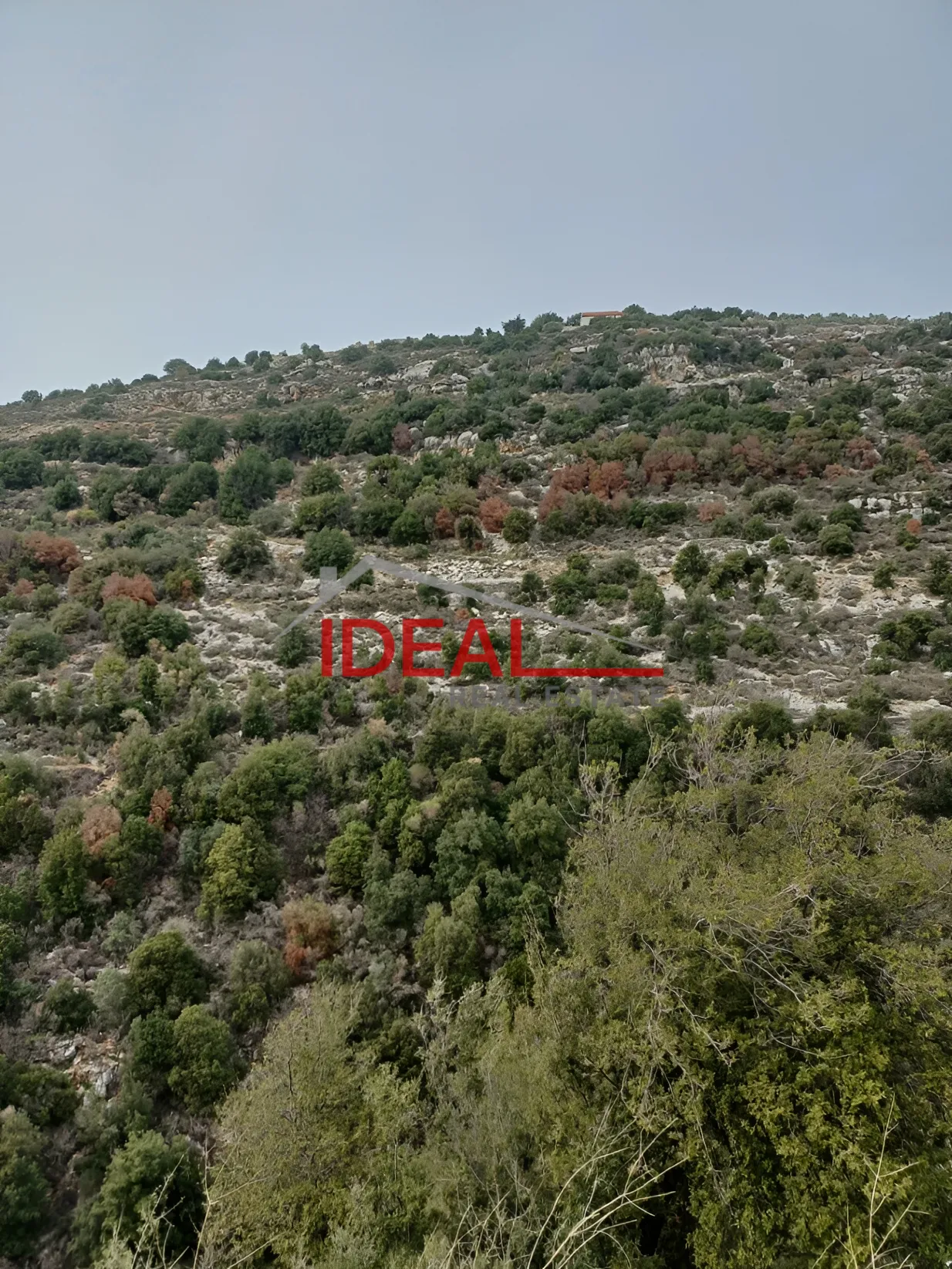 Residential Land for sale in Batroun, Lebanon
