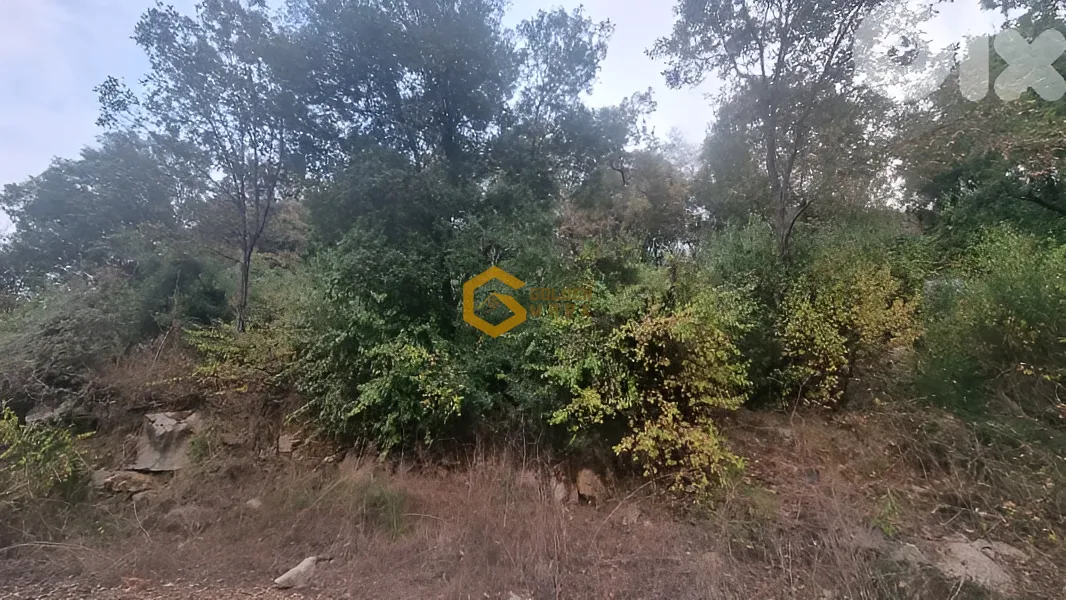 Land for Sale in Matn