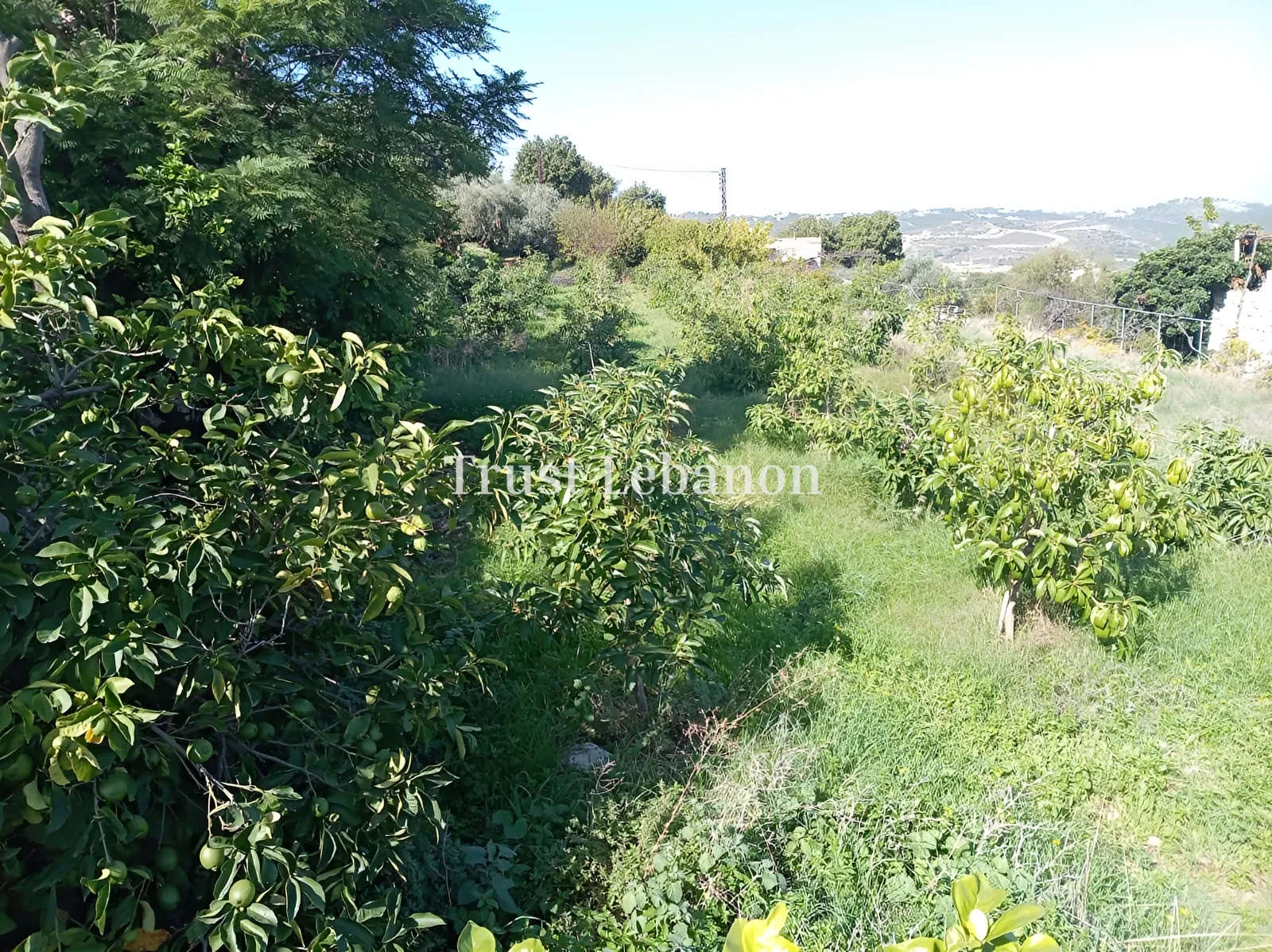 House for sale in Batroun