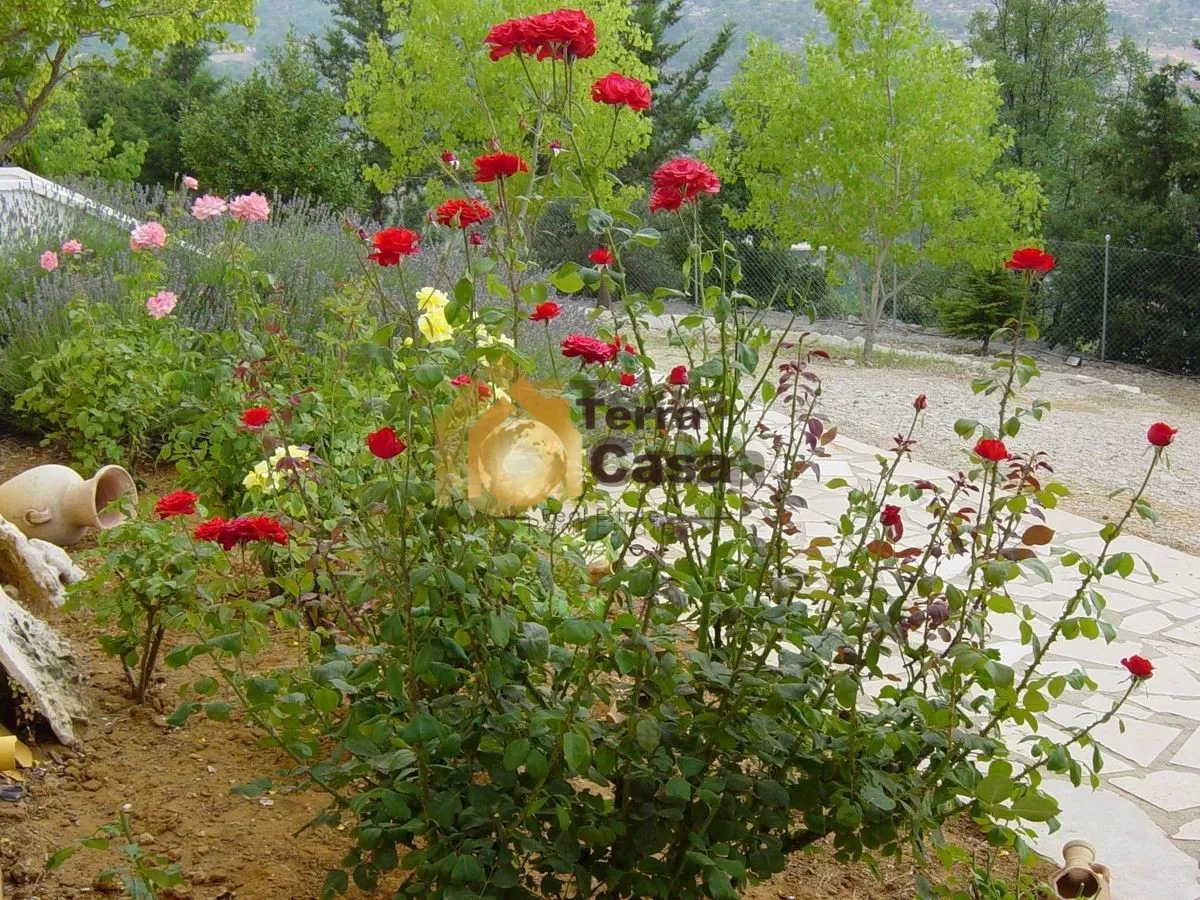 Villa for sale in Lehfed