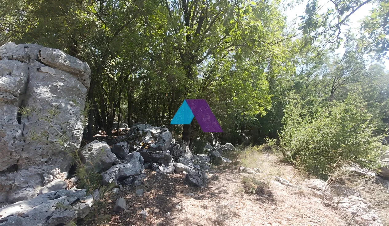 Land for Sale in Raashine