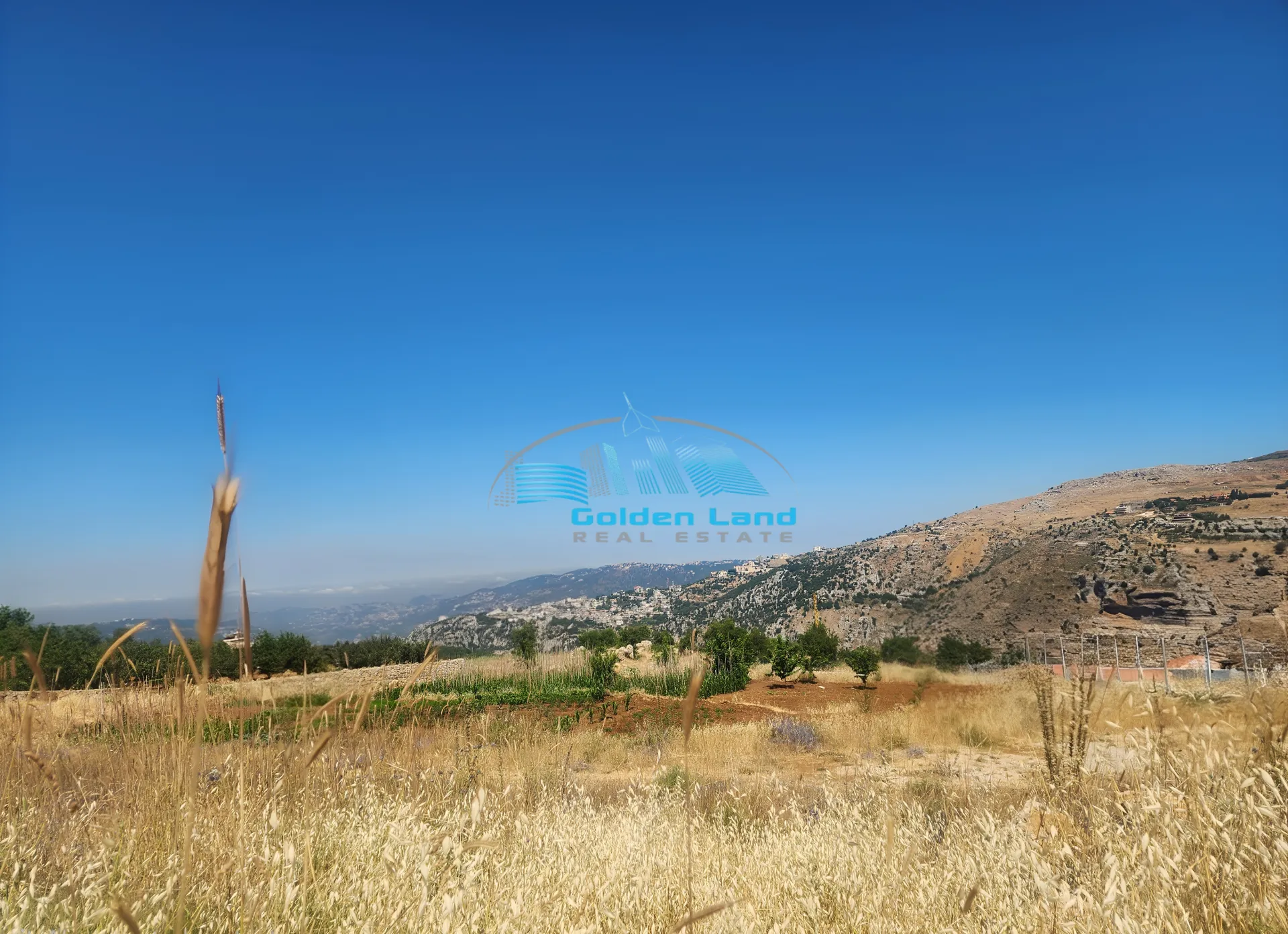 Land for Sale in Tarchich
