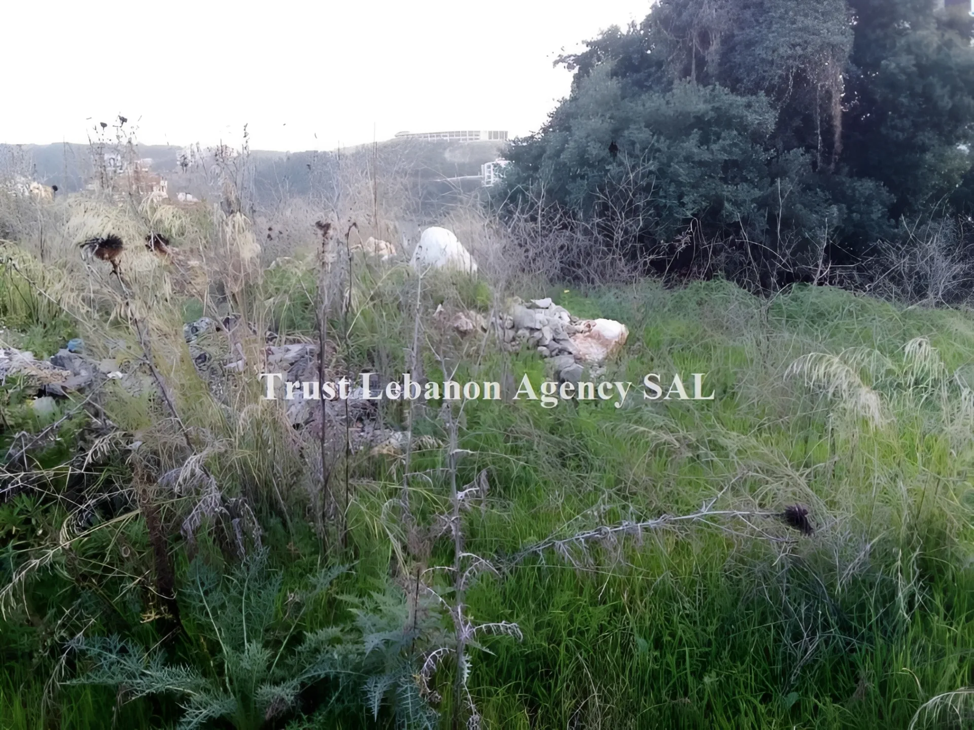 Land for Sale in Bchemoun Alay