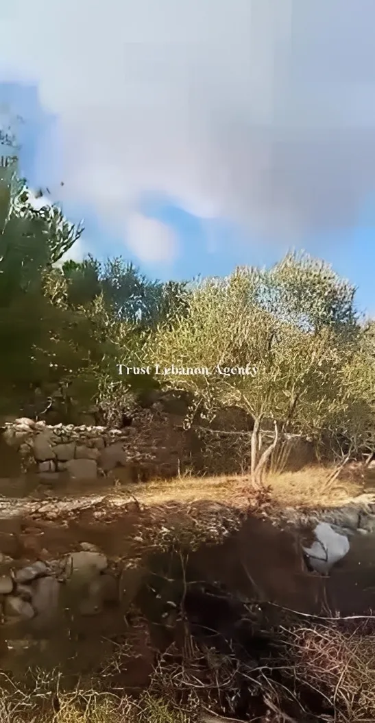 Land for Sale in Chouf Bseba Al Chouf