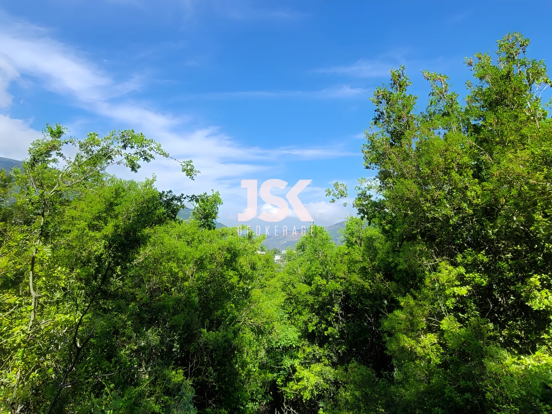 Land for Sale in Yahchouch