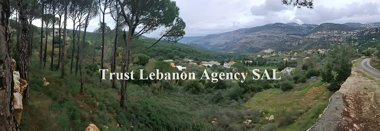 Land for Sale in South Jezzine