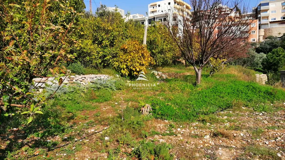 Land for Sale in Blat