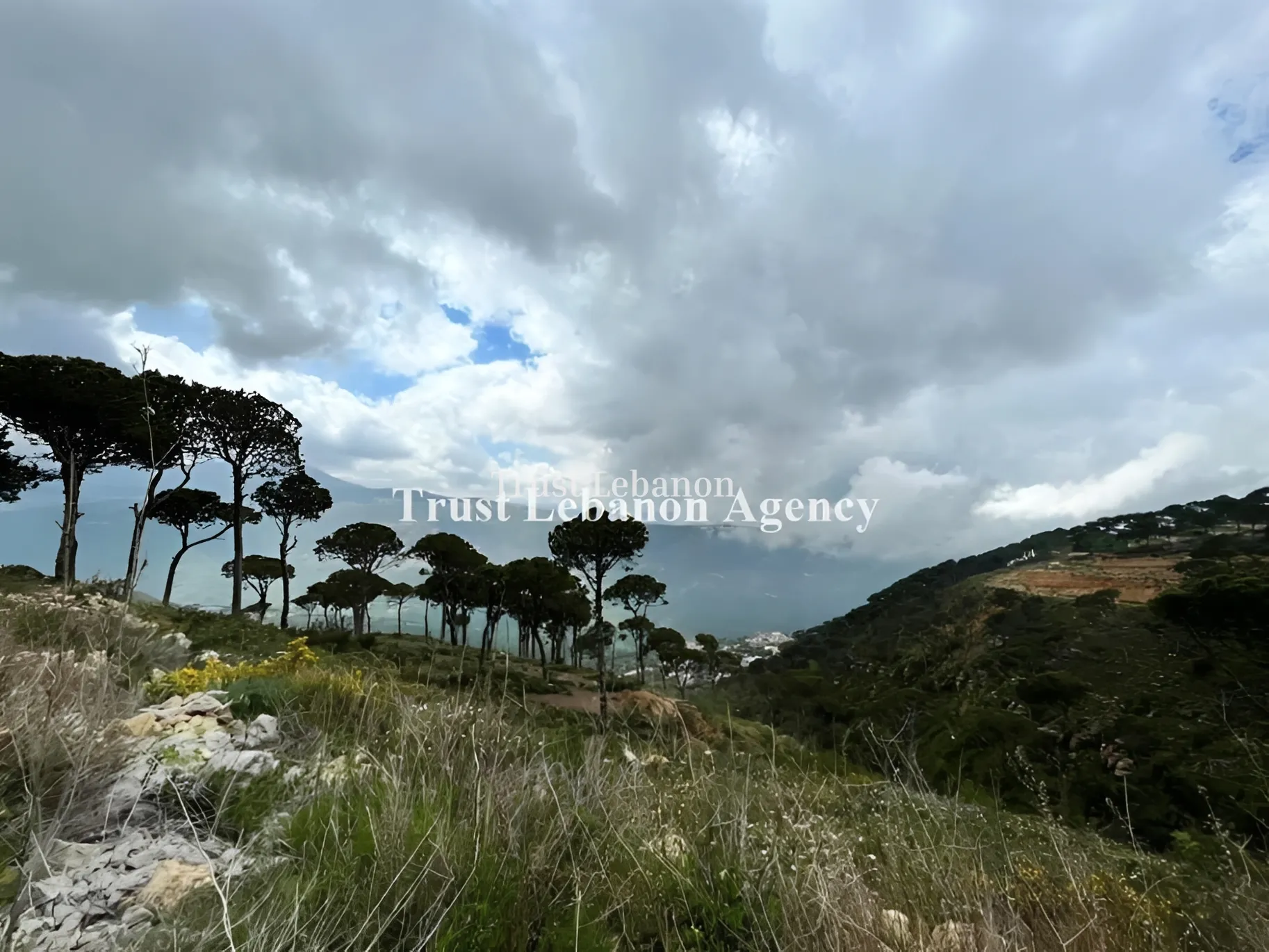 Land for sale in Qaaqour, Lebanon