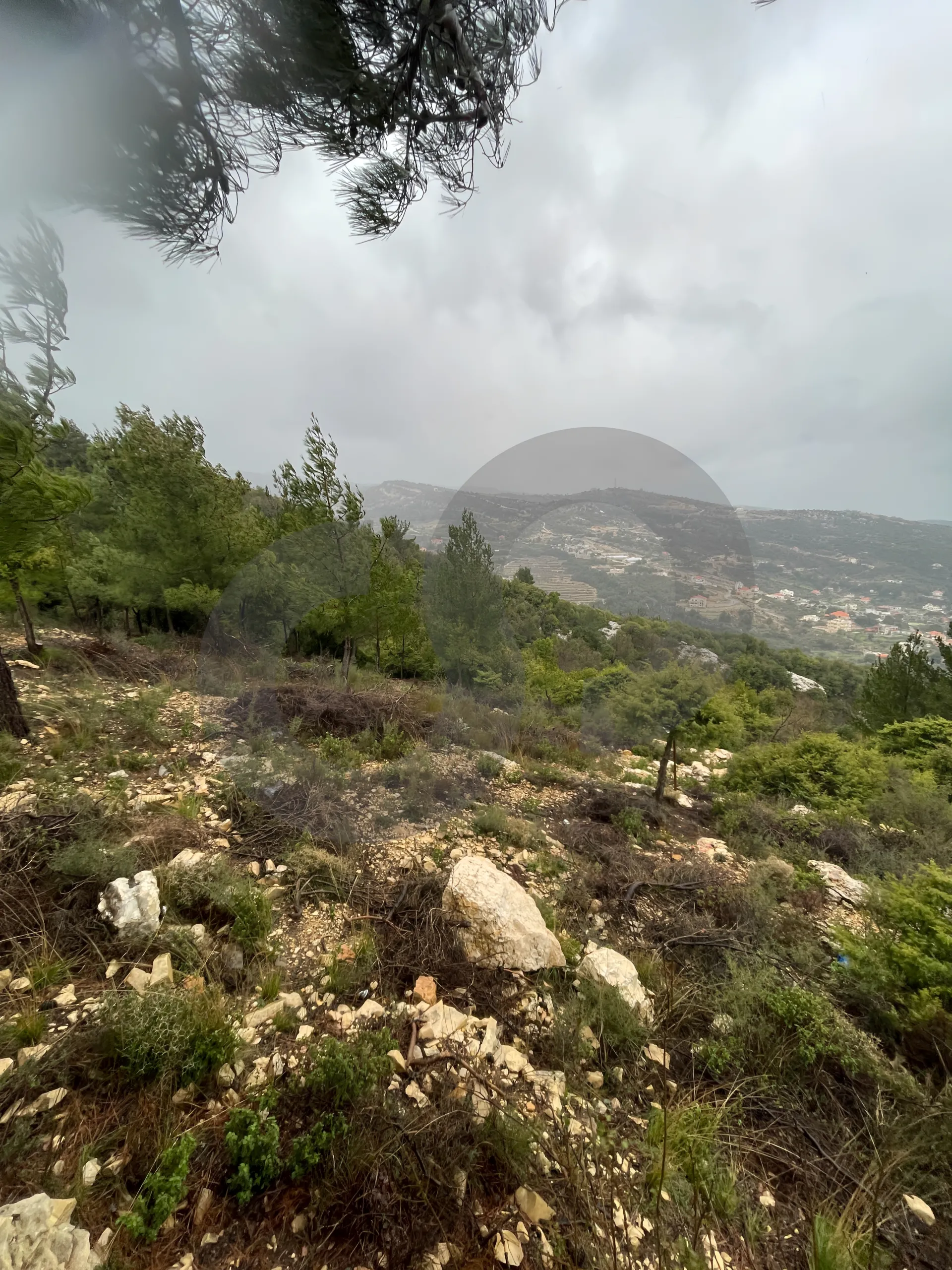 Land for Sale in Lehfed
