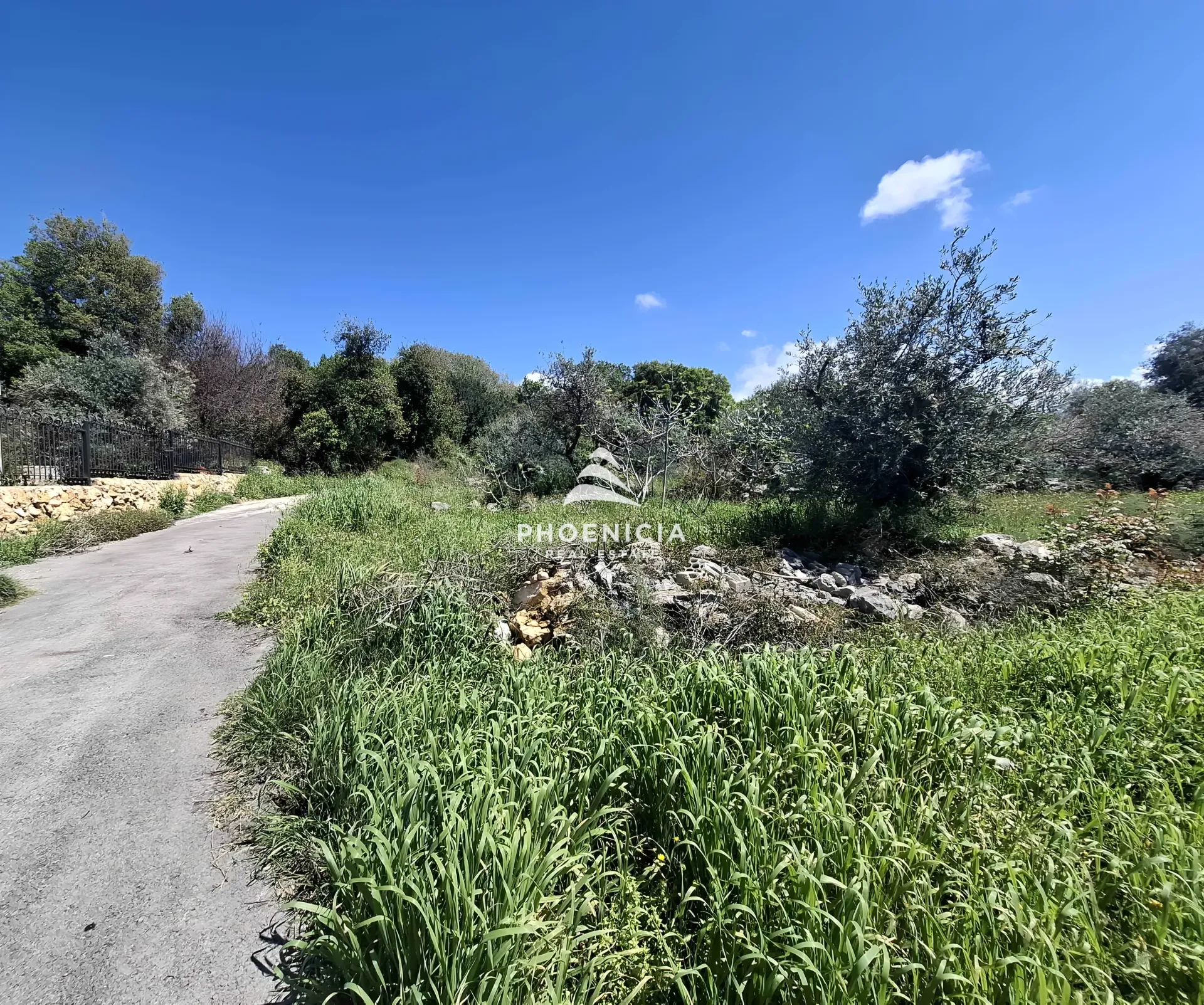 Land for Sale in Monsef