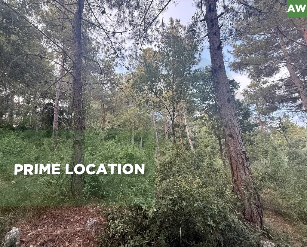 Land for Sale in Matn