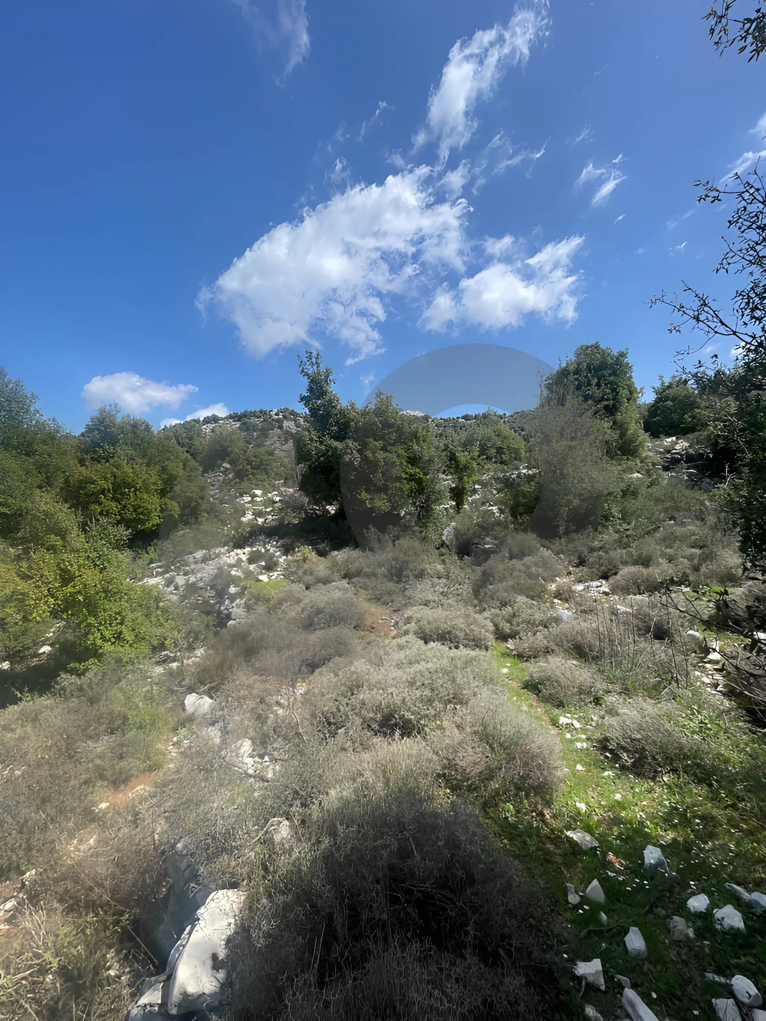 Land for Sale in Mechmech
