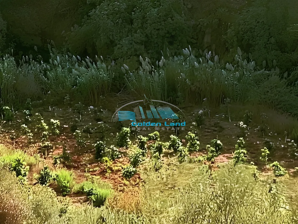 Land for Sale in Kfarshima, Lebanon