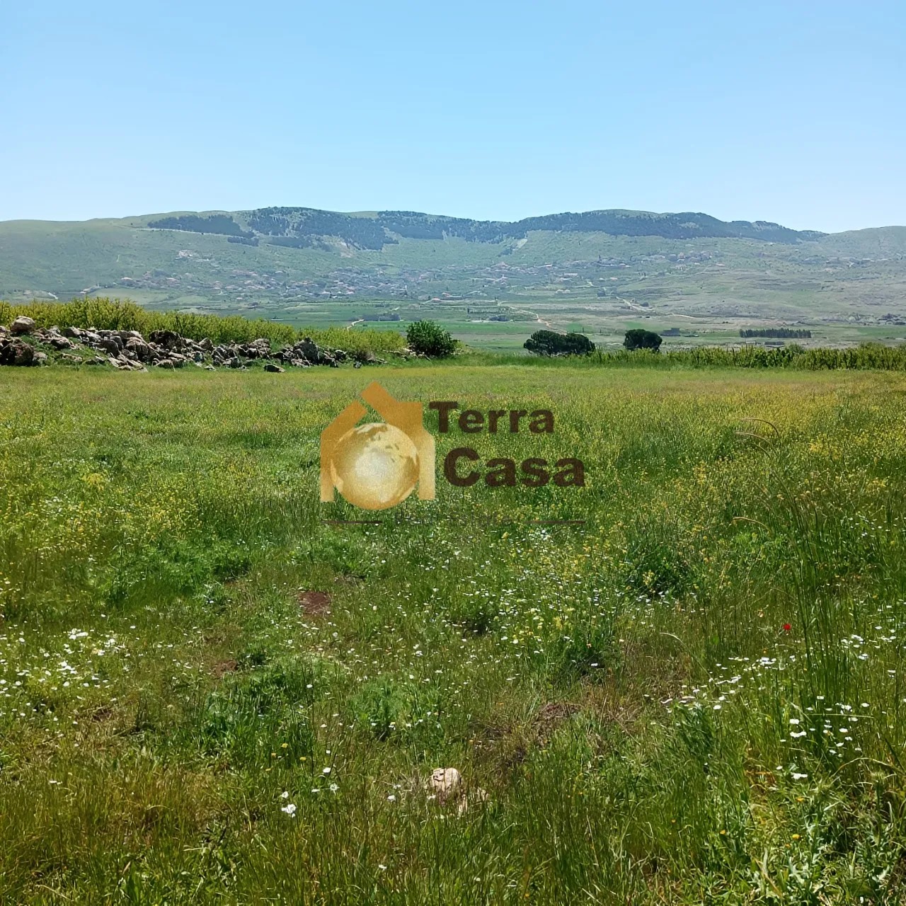 Land for Sale in Kherbet Kanafar Agriculture