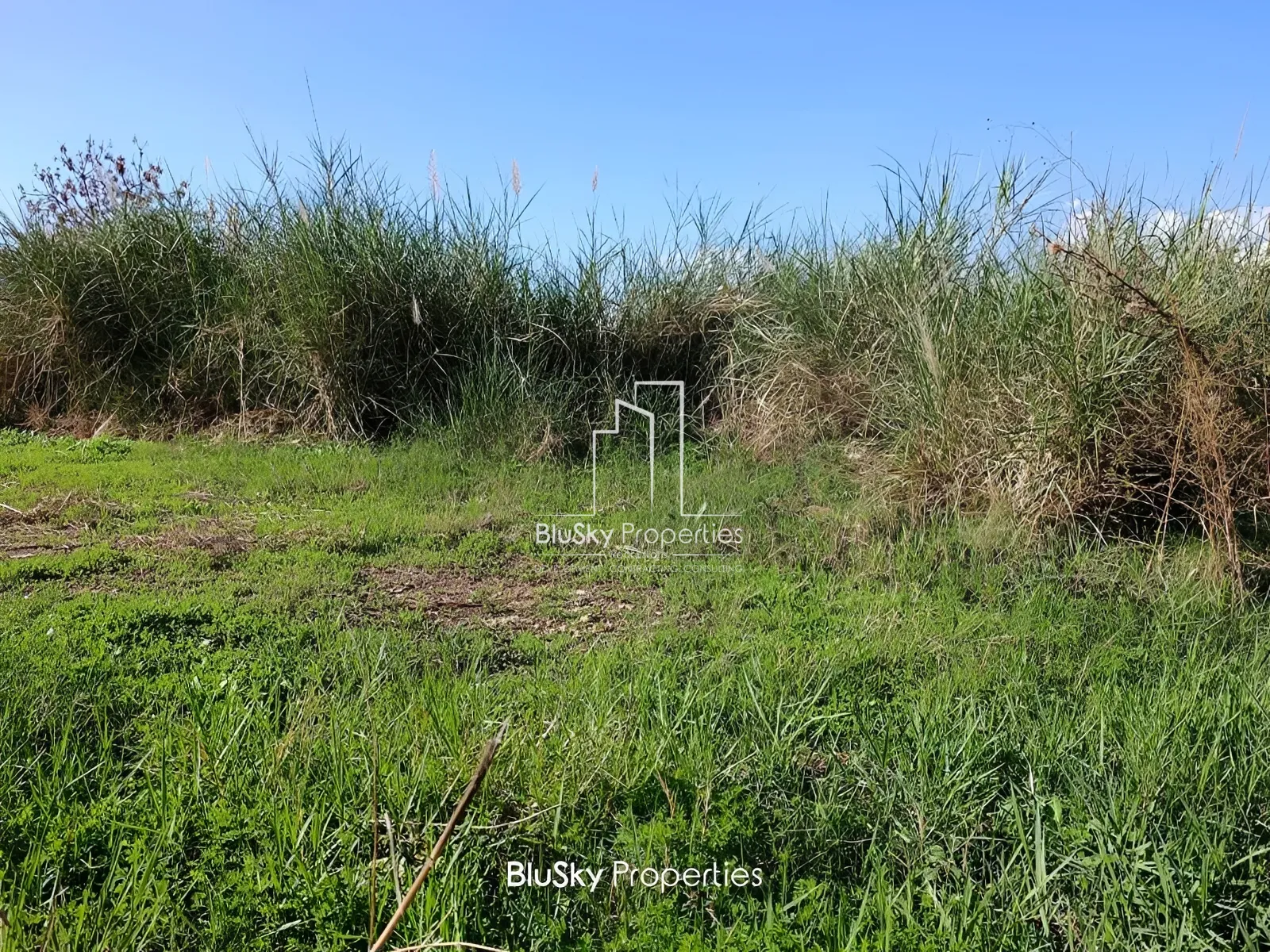 Land for Sale in Nahr Ibrahim