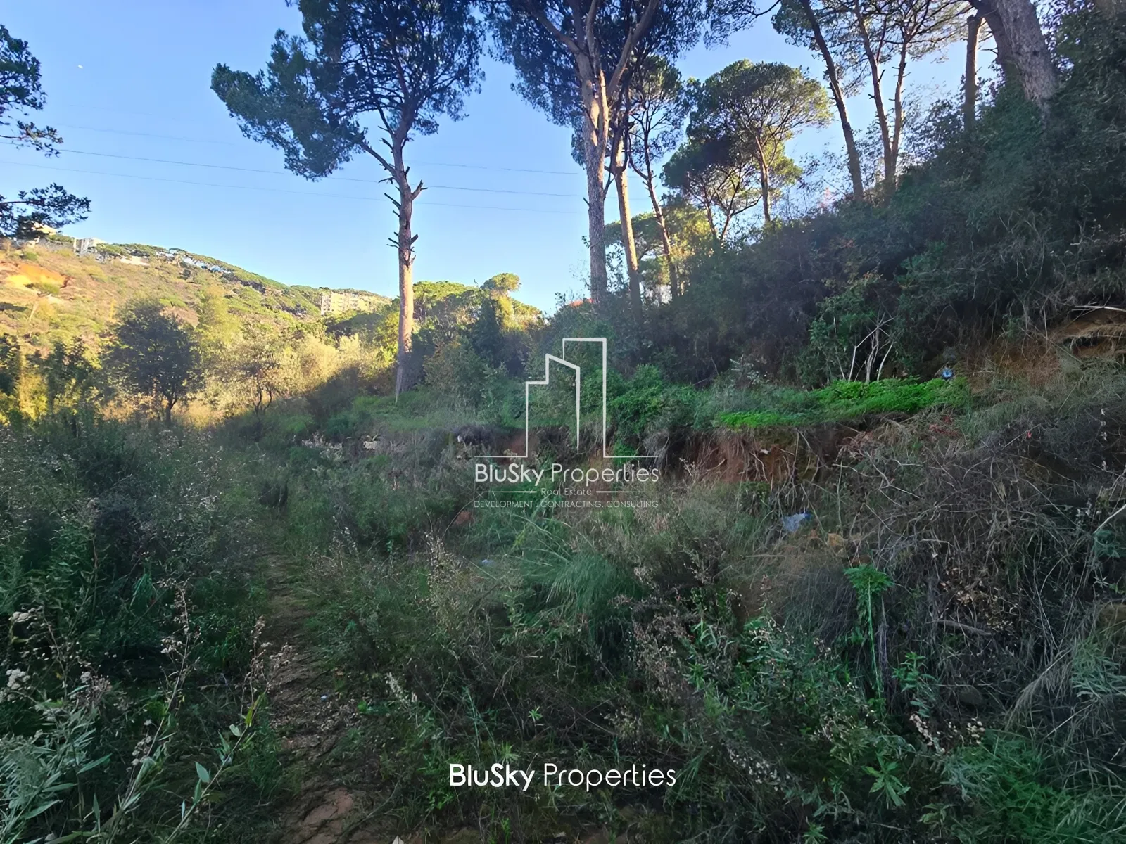 Land for Sale in Araya