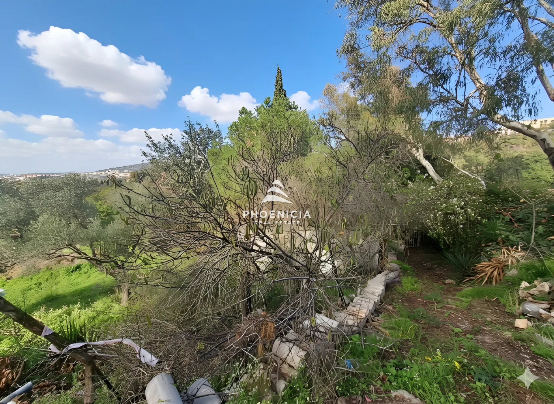 Land for Sale in Batroun