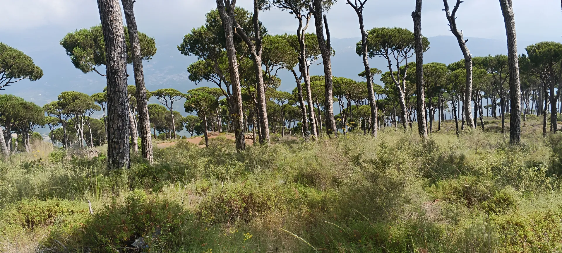 Land for sale in Dhour el choueir, lebanon