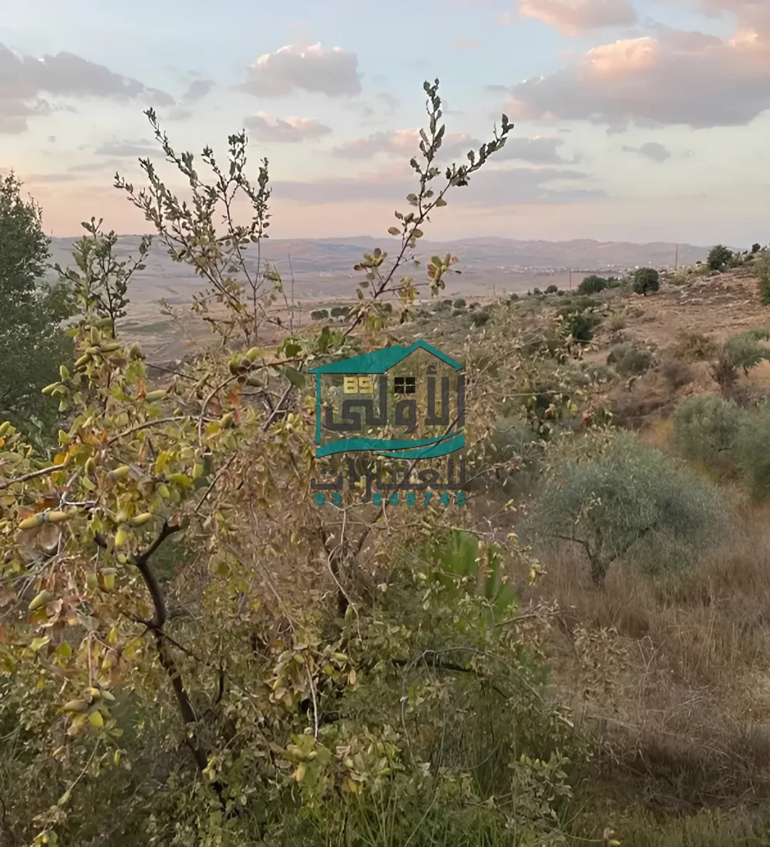 Land in راشيَا، lebanon