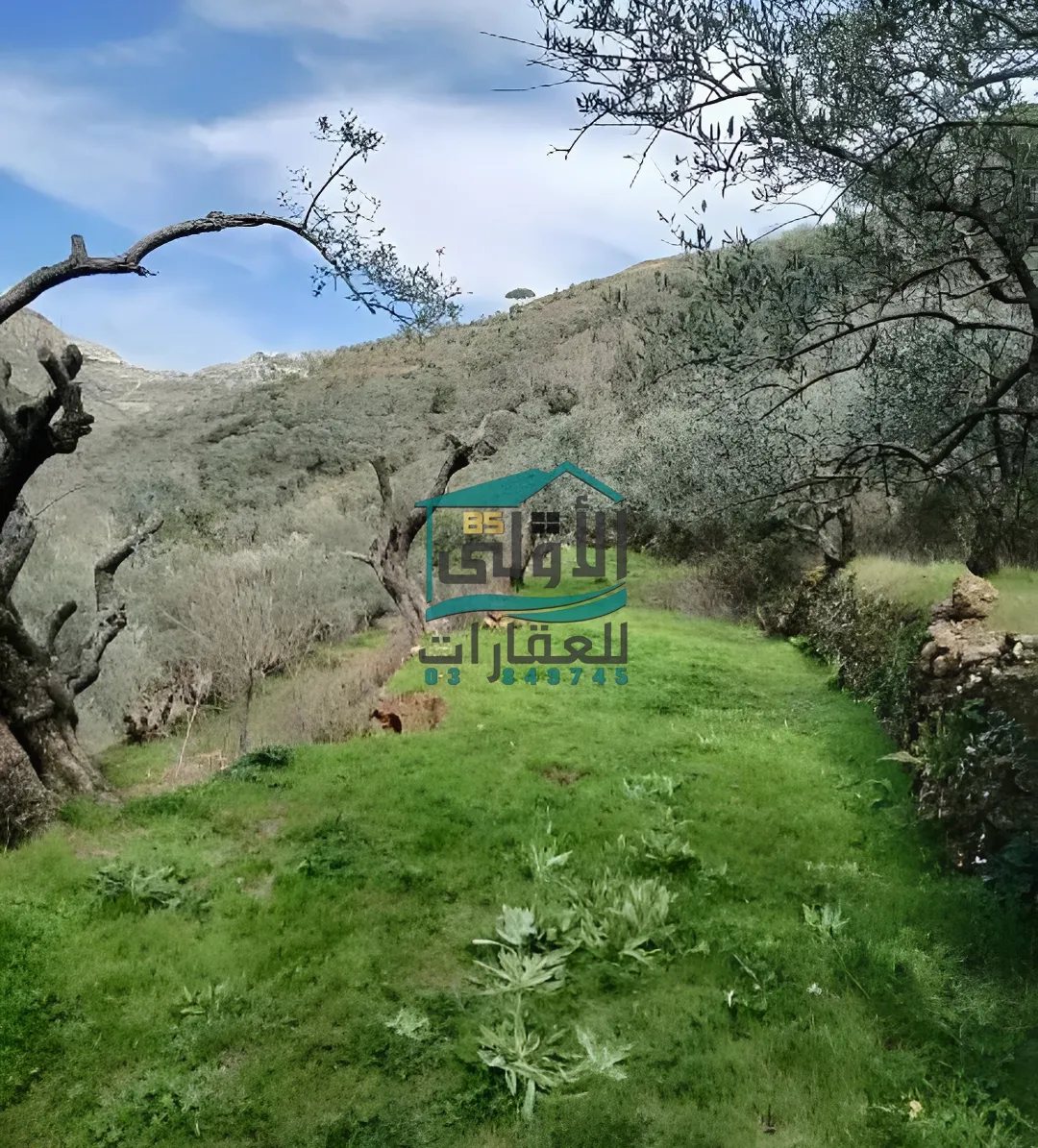 Land in راشيَا، lebanon